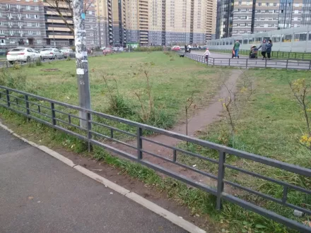 И снова про бесполезность заборов: фотоподборка 2019 года