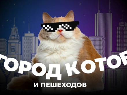 Мало машин и много котов. Как устроен город Зеленоградск