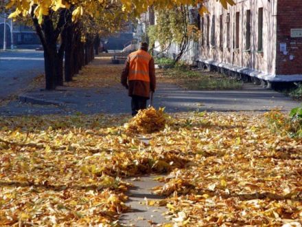 Убирать листву с газонов — правильно или глупо?