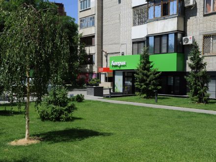 Как за полгода превратить Россию в Европу