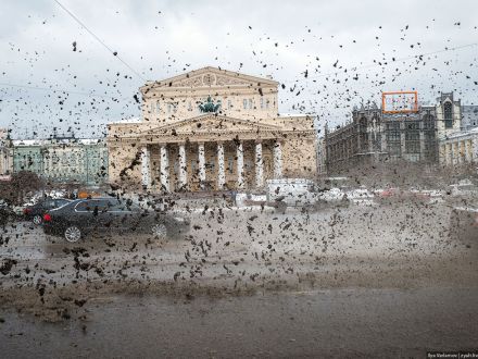 Зачем вы травите?