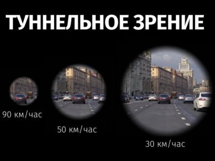 Что общего у велосипедистов, водителей и пешеходов?